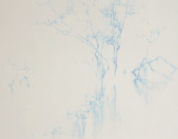 2011_SILK.jpg